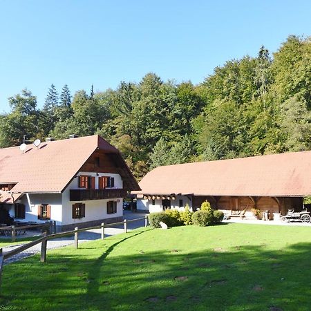 Domacija Seruga Countryside Hotel Novo Mesto Bagian luar foto