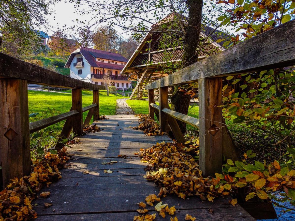 Domacija Seruga Countryside Hotel Novo Mesto Bagian luar foto