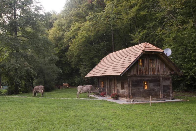 Domacija Seruga Countryside Hotel Novo Mesto Bagian luar foto