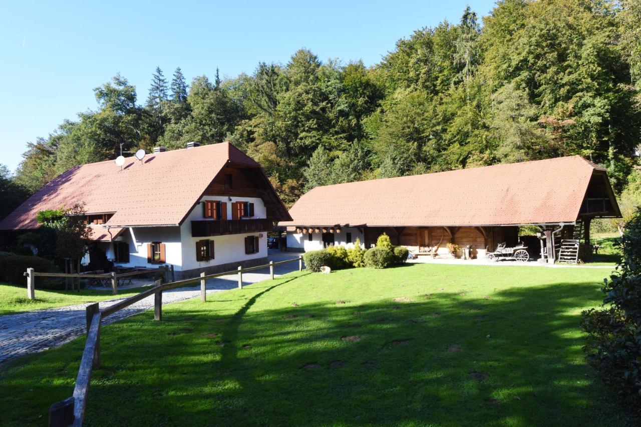 Domacija Seruga Countryside Hotel Novo Mesto Bagian luar foto
