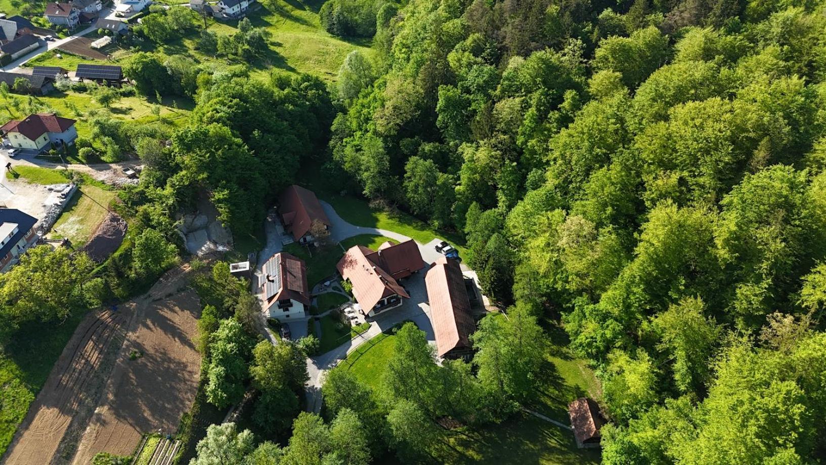 Domacija Seruga Countryside Hotel Novo Mesto Bagian luar foto