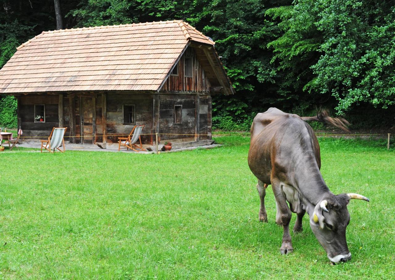 Domacija Seruga Countryside Hotel Novo Mesto Bagian luar foto