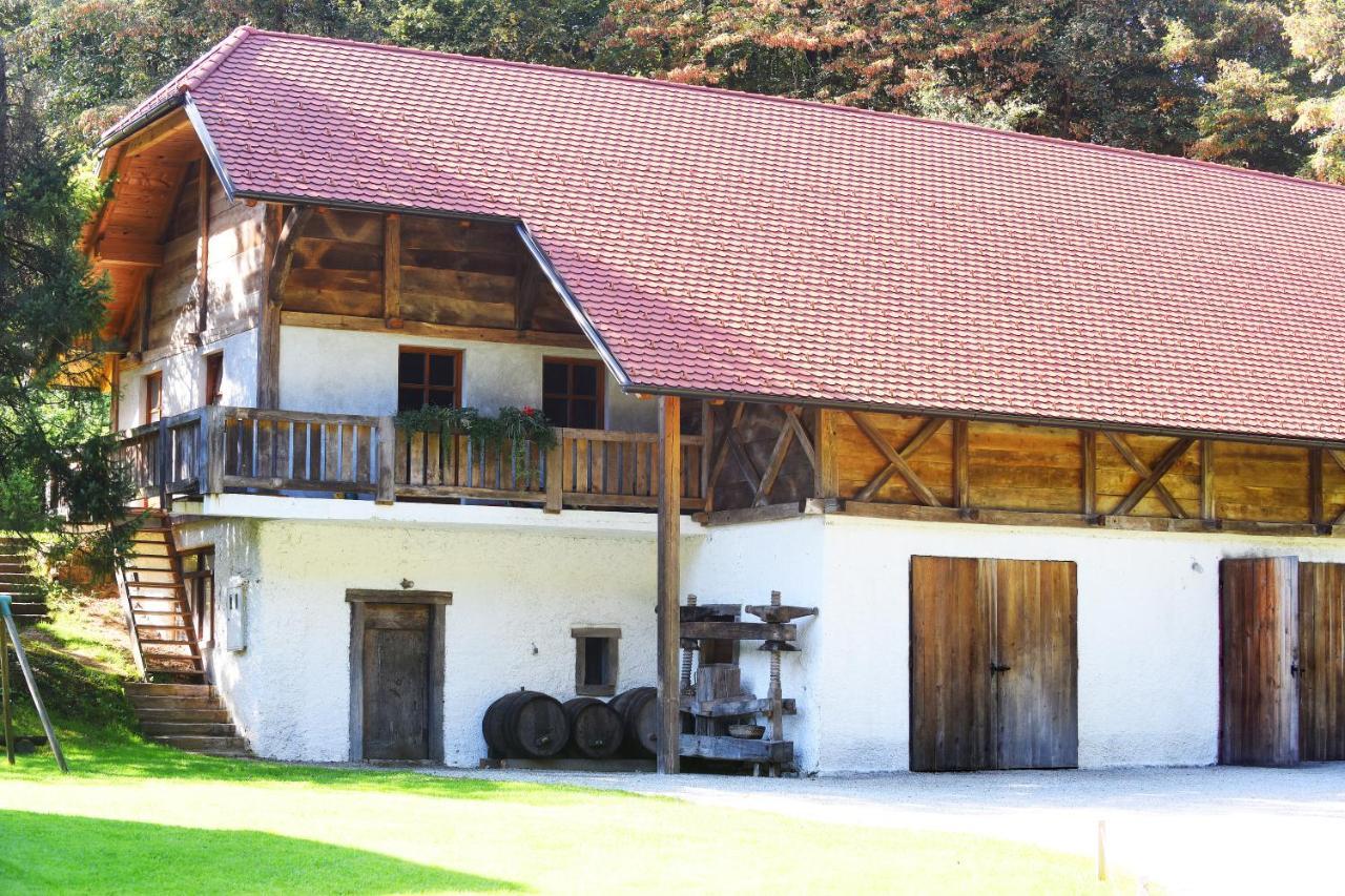 Domacija Seruga Countryside Hotel Novo Mesto Bagian luar foto