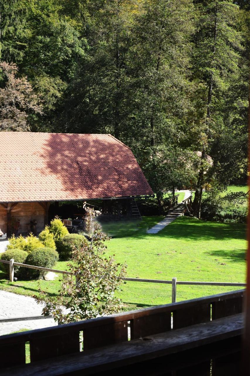 Domacija Seruga Countryside Hotel Novo Mesto Bagian luar foto