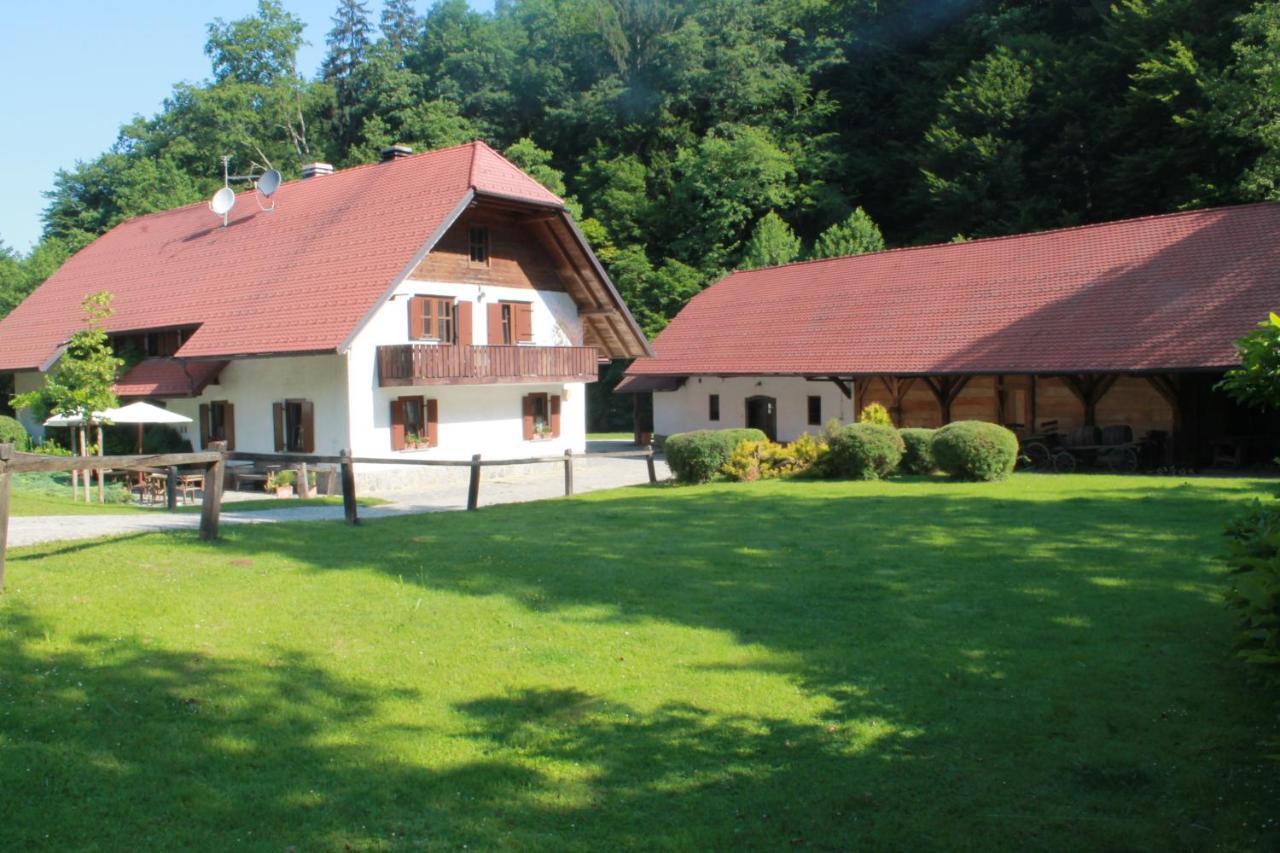 Domacija Seruga Countryside Hotel Novo Mesto Bagian luar foto
